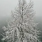 Private House On * Bled