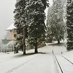 Private House On * Bled