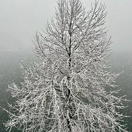 Private House On * Bled