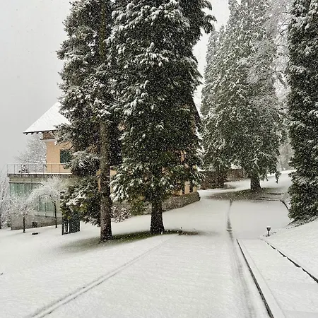 Private House On * Bled