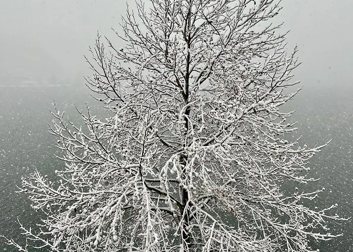 Private House On * Bled