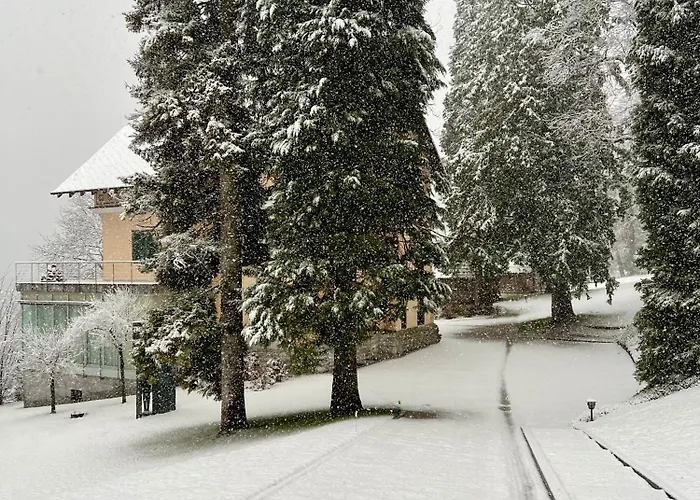 Private House On * Bled